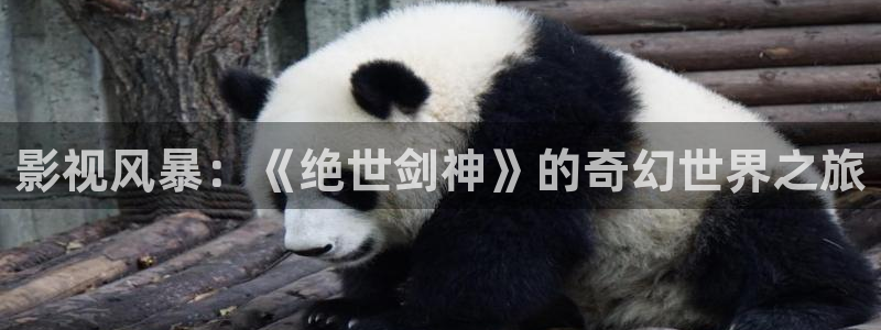 羞羞的铁拳完整版在线播放